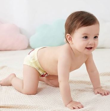 Lot de 3 Culottes Coton Enfants – Motifs Cartoon PAW PATROL™