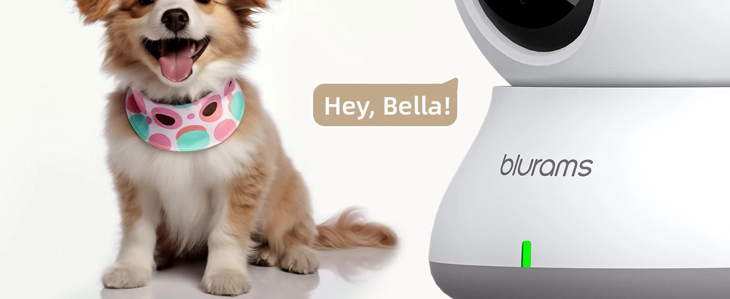 Blurams 2.4＆5G WiFi Indoor Camera, 2K, 360° PTZ Pet Dog IP CCTV Camera with Phone App, 2 - Way Talk, Night Vision, for Home Securi™ - Planète bébé